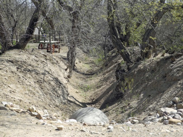 Ring's reflections: Let's go back in time and explore Fort Lowell area